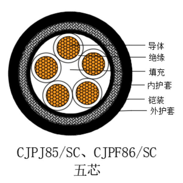 銅芯交聯(lián)聚乙烯絕緣低煙無(wú)鹵船用控制電纜-CKJPJ85/SC-150/250V、CKJPF86/SC-150/250V